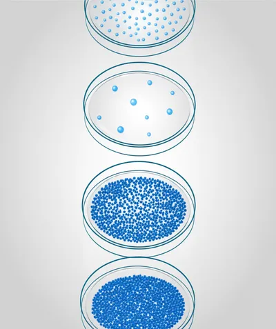 Illustration passages - Image 1