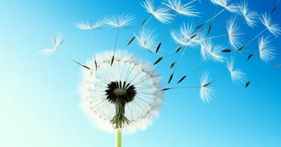 Hình ảnh minh họa discharges - Ảnh 1