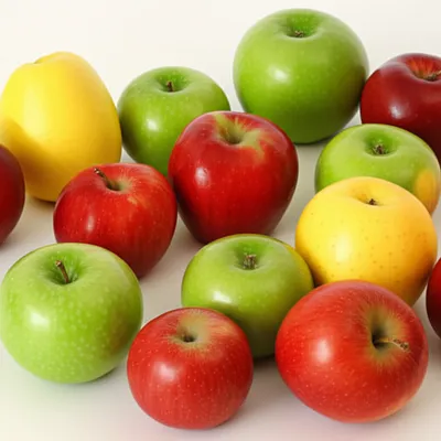 Illustration form - Image 1