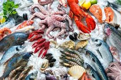 Illustration seafood - Image 2