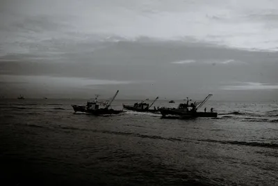 Illustration trawling - Image 2