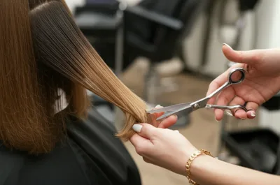 Illustration trims - Image 1