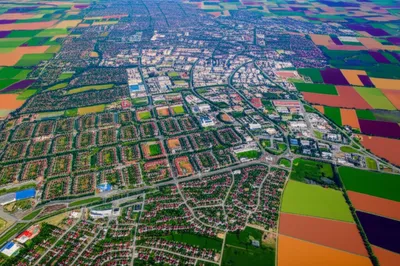 Illustration districts - Image 1