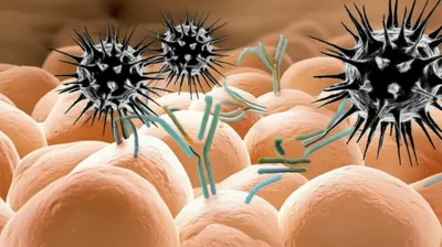 Illustration antitoxin