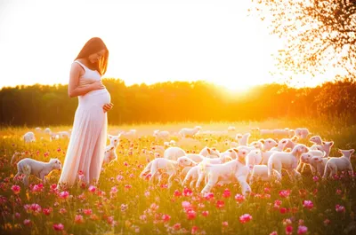 Illustration springs - Image 1