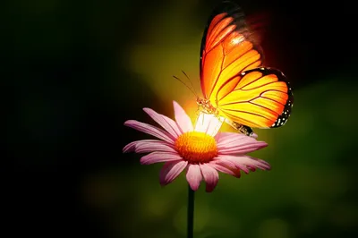 Illustration light - Image 1