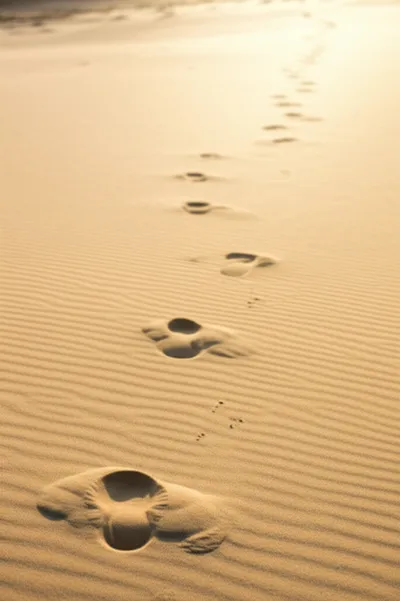 Illustration staggers - Image 1