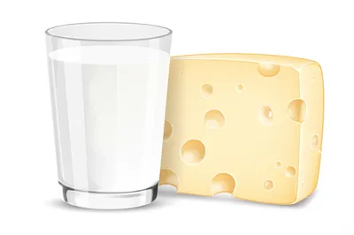 Illustration lactic - Image 1