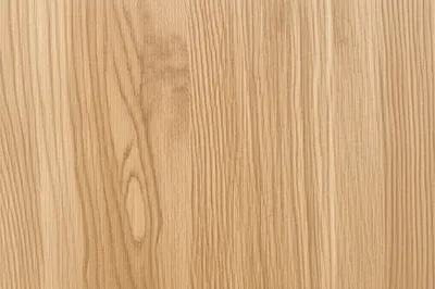 Illustration oak - Image 1