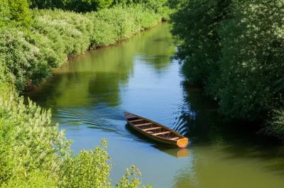 Illustration coasts - Image 1