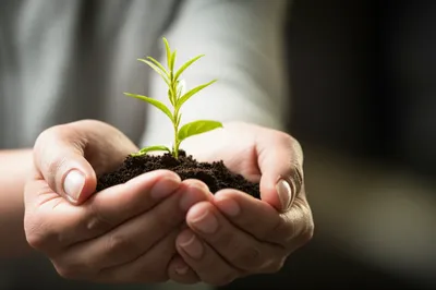 Illustration father - Image 1