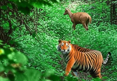 Illustration ambushing - Image 2