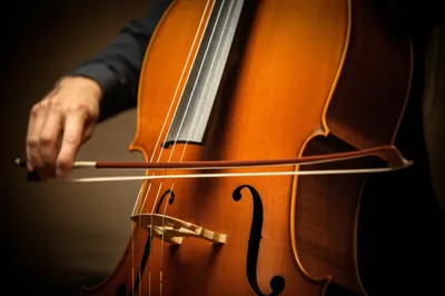 Illustration bowed - Image 1