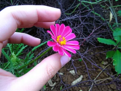 Illustration withdrawing