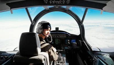 Illustration simulator - Image 1