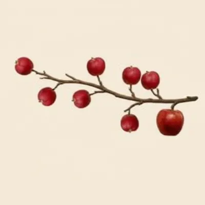 Illustration octuples