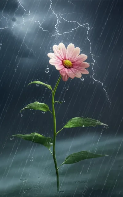 Illustration shielded