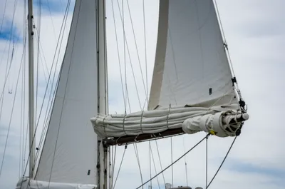 Illustration hands - Image 1