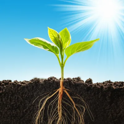 Illustration positive - Image 1