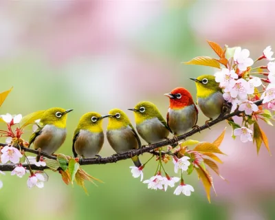 Illustration co - Image 1