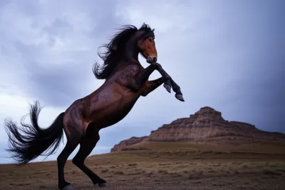 Illustration unbreakable - Image 1