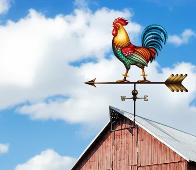 Illustration cocks - Image 1