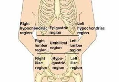Illustration region - Image 3