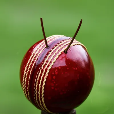 Illustration cherries - Image 1