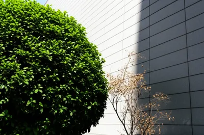 Illustration stunted - Image 1