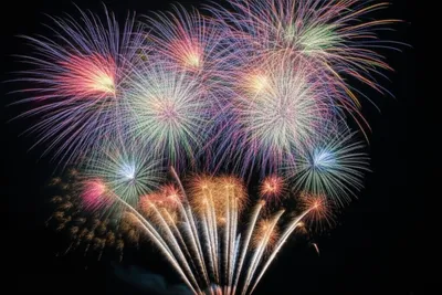 Illustration serpentes - Image 1