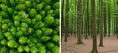 Illustration stocking - Image 1