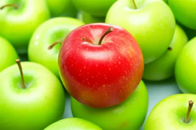 Illustration only - Image 1