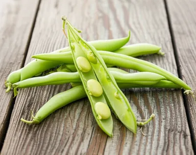 Illustration soybeans - Image 1