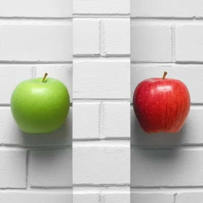 Illustration across - Image 1