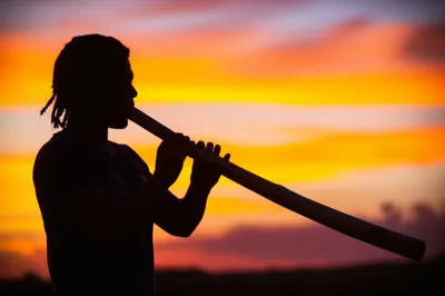 Illustration bamboo - Image 1