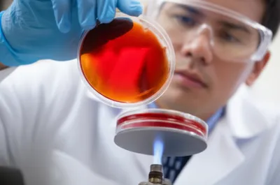 Illustration chocolate - Image 1