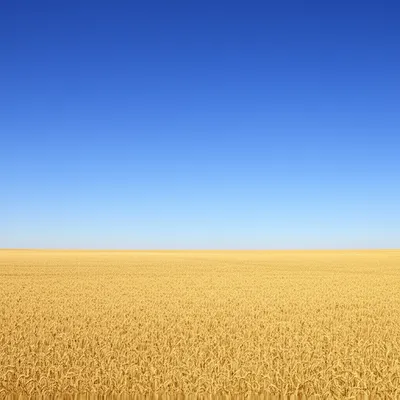 Illustration unencumbered - Image 1