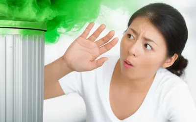 Illustration sicken - Image 1