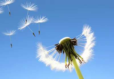 Illustration freestanding - Image 1