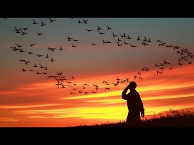 Illustration omen - Image 1