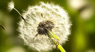 Illustration spreads - Image 1