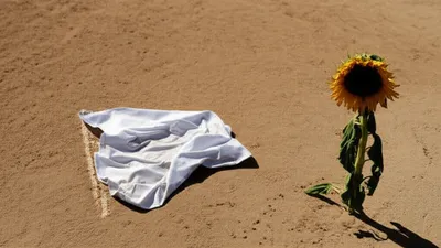 Illustration folds - Image 1