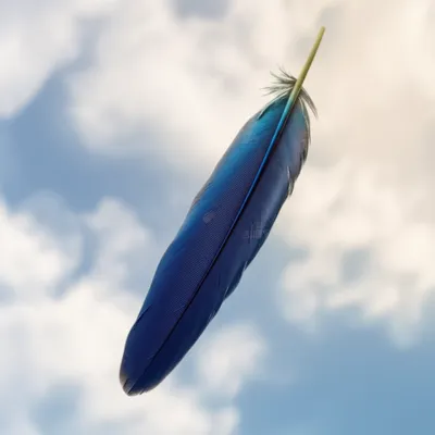 Illustration pen - Image 1