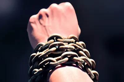 Illustration pinions - Image 1