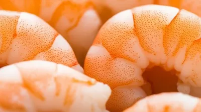 Illustration veins - Image 1