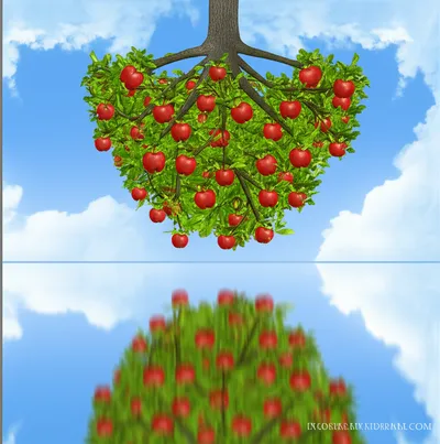 Illustration paradox - Image 1