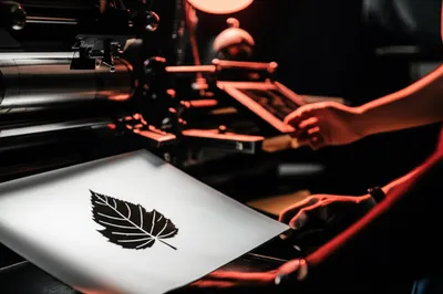 Illustration slick - Image 1