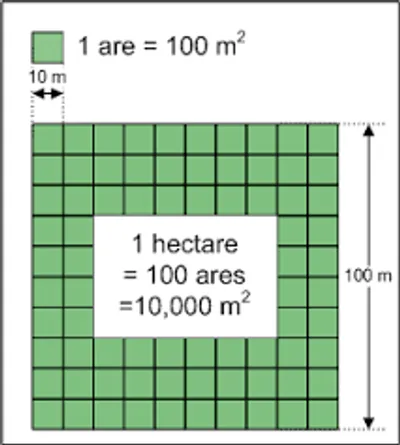 Illustration are - Image 2