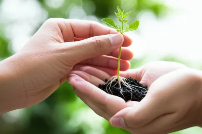 Illustration takes - Image 1