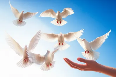 Illustration forgiving - Image 1